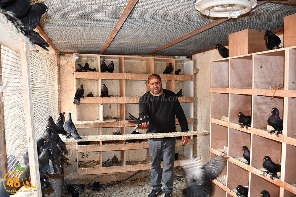 zohdi 3ashoor (123).jpeg